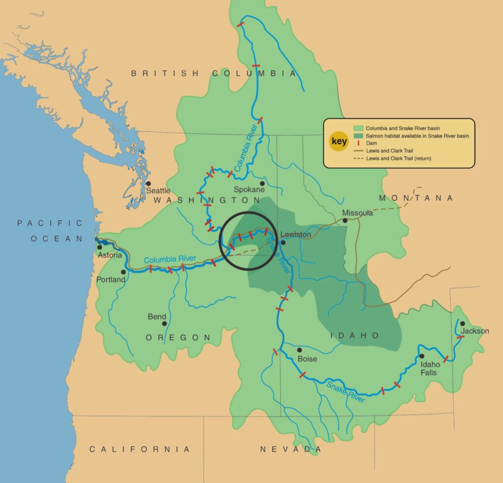 Map of the Pacific Northwest -- including Washington, Idaho, Oregon, Montana, and British Columbia, Canada -- highlighting the Columbia and Snake River basin and Salmon habitat available.