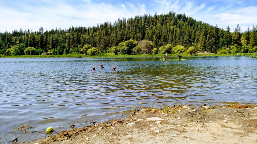 Children swimming and paddleboarding on Fish Lake, with trees in the background and a sandy beach in the foreground.