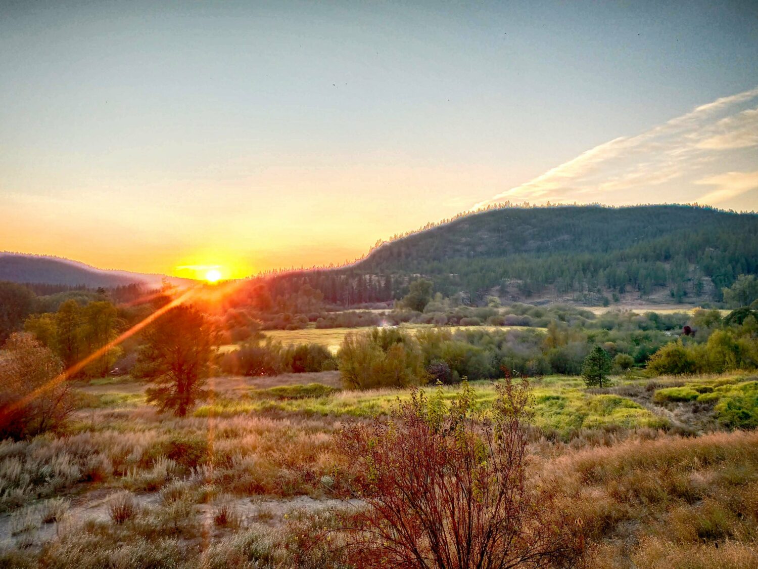 Sunset on the horizon of the hillside with view of the Little Spokane River in the Waikiki Springs natural area. Trees and bushes in the meadow alongside the river.