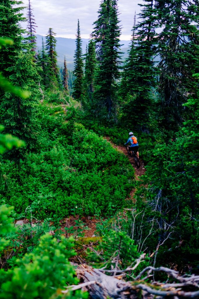 Woman mountain biking along a forest dirt trail.
