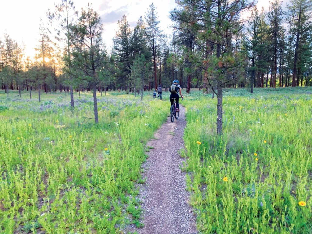 Person mountain biking along a dirt trail at Riverside State Park, with forest in the near distance.