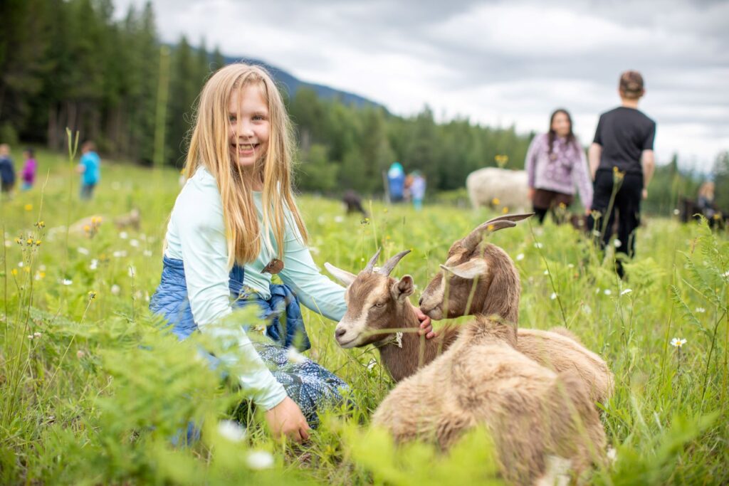 Girl petting goats who are eating weeds at Pine Street Woods Community Forest.