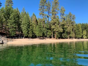 Sandy beach on an island in Priest Lake.