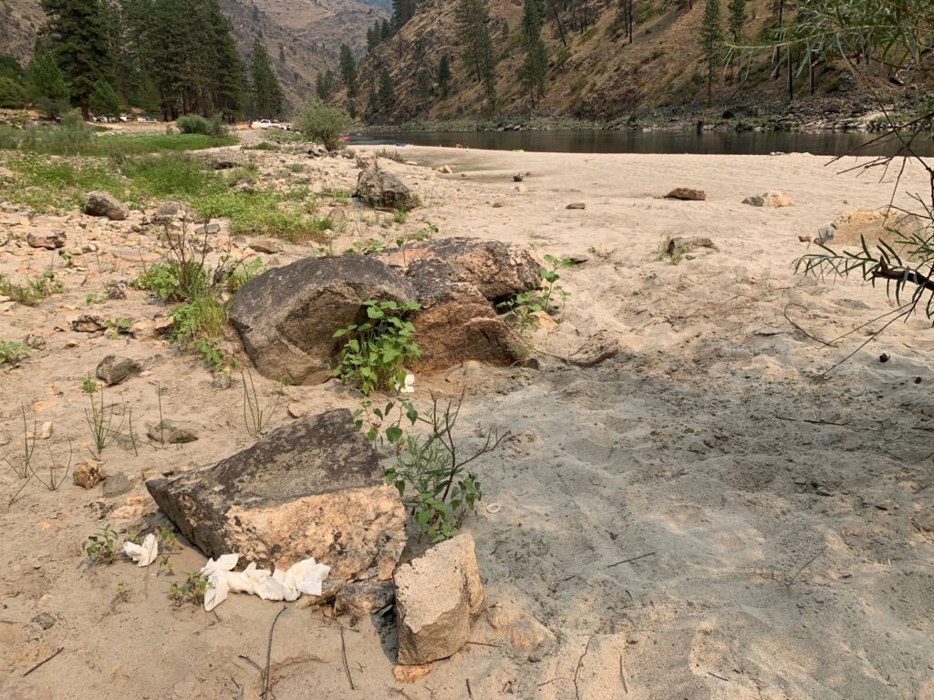 Toilet paper trash left behind on public lands, at a river beach.