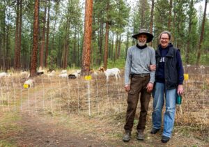 Healing Hooves goat shepherds standing near the fence enclosure with their grazing goats on Spokane's High Drive Bluff.