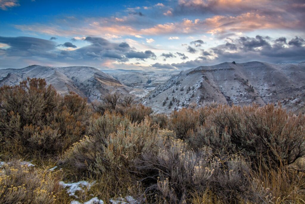 Frost-covered trees on an autumn morning on Wenatchee's Saddle Rock.