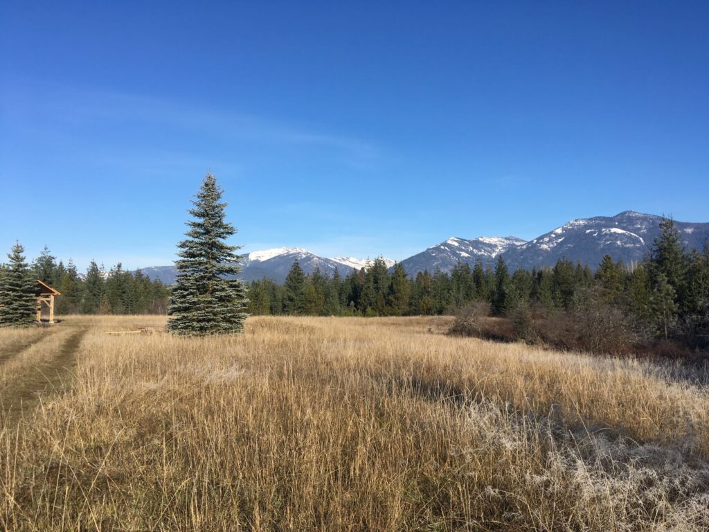 Majestic views of the Cabinets, pristine beaver habitat, and native plants make this place special. Grassy meadow with a few conifer trees and snowcapped peaks in the far distance.