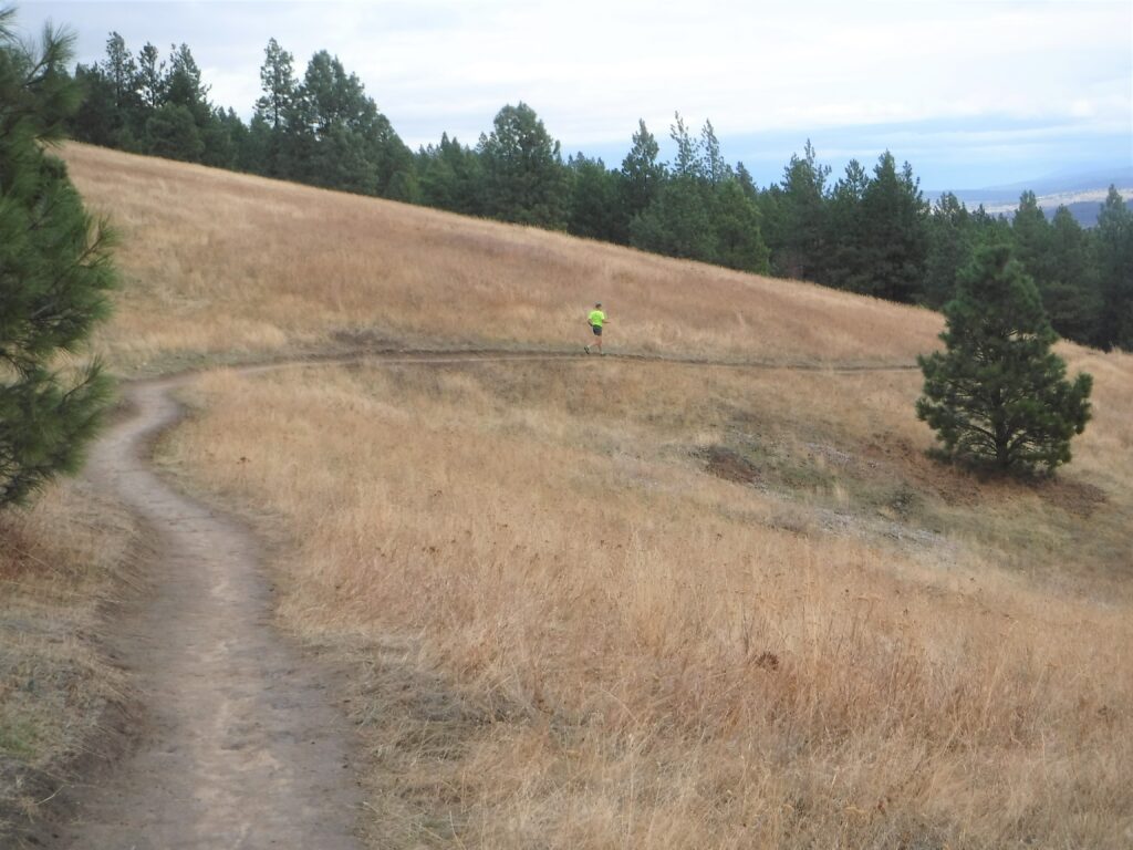 Trail runner on the Flying L Trail at Glenrose.