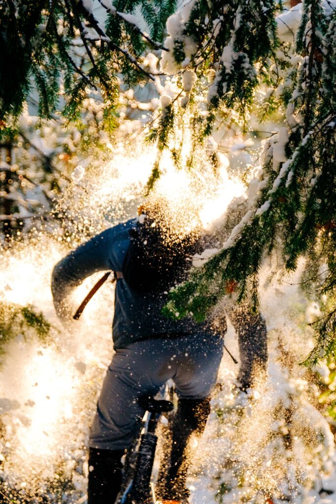 Mountain biker riding under an evergreen tree branch laden with snow and getting a face full of powder.
