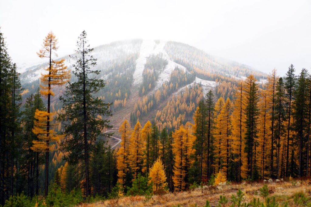 Ski runs during fall season at Eagle Peak mountain side at Lookout Pass Ski and Recreation Area.