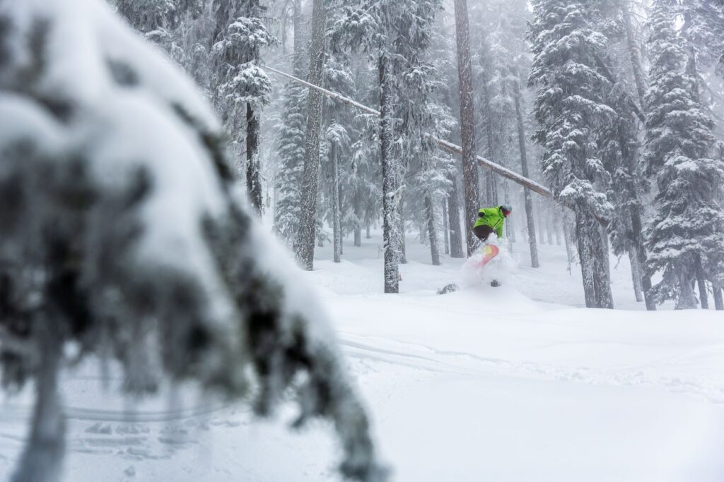 Person skiing powder through the trees at 49 Degrees North.