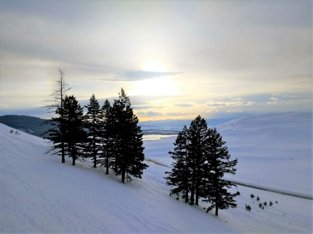 Snowy slope with trees at Sitzmark ski area.