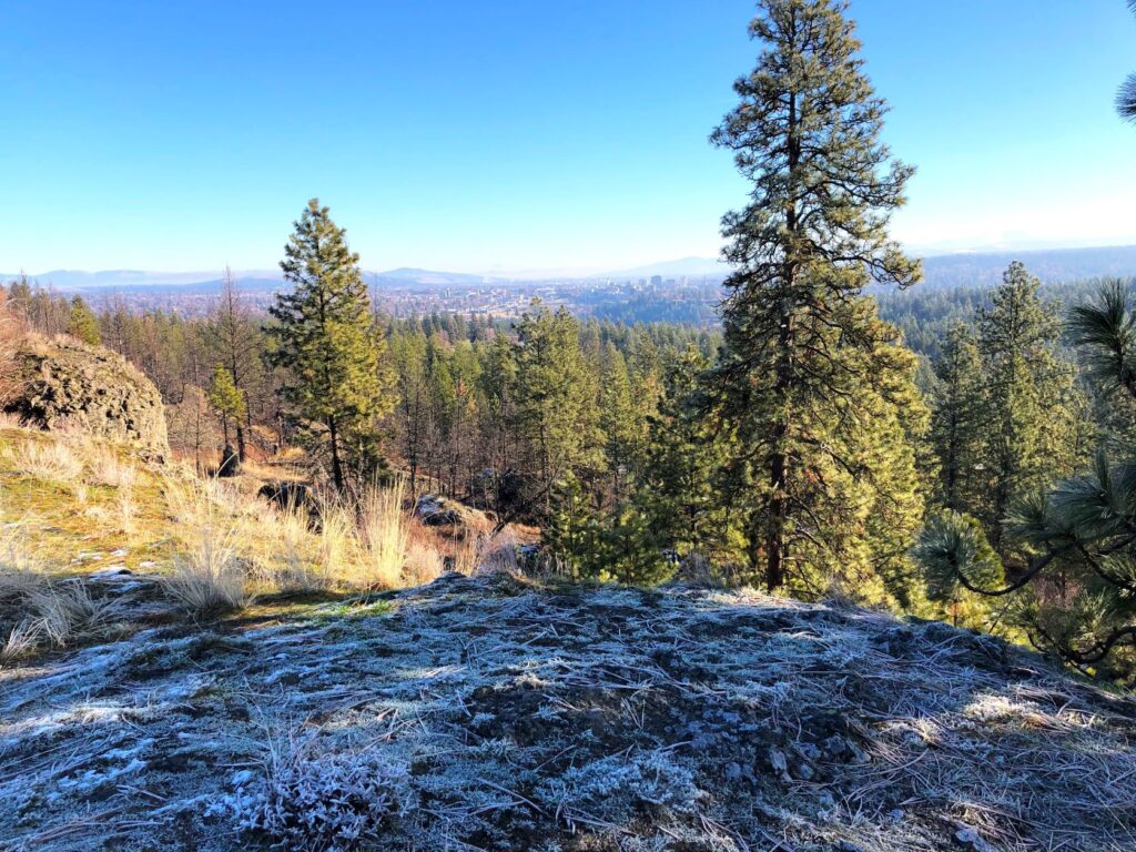 The view of downtown from Palisades Park's Rimrock Drive: urban downtown Spokane in the distance, with forest between rocky outcropping and city center.