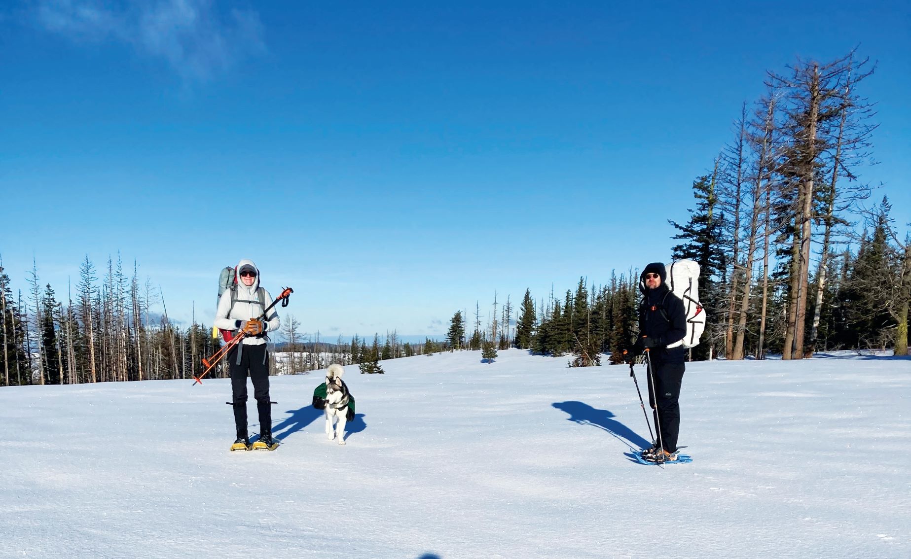 Two people on snowshoes with trekking poles and wearing large backpacks, and the author's white and black husky dog.