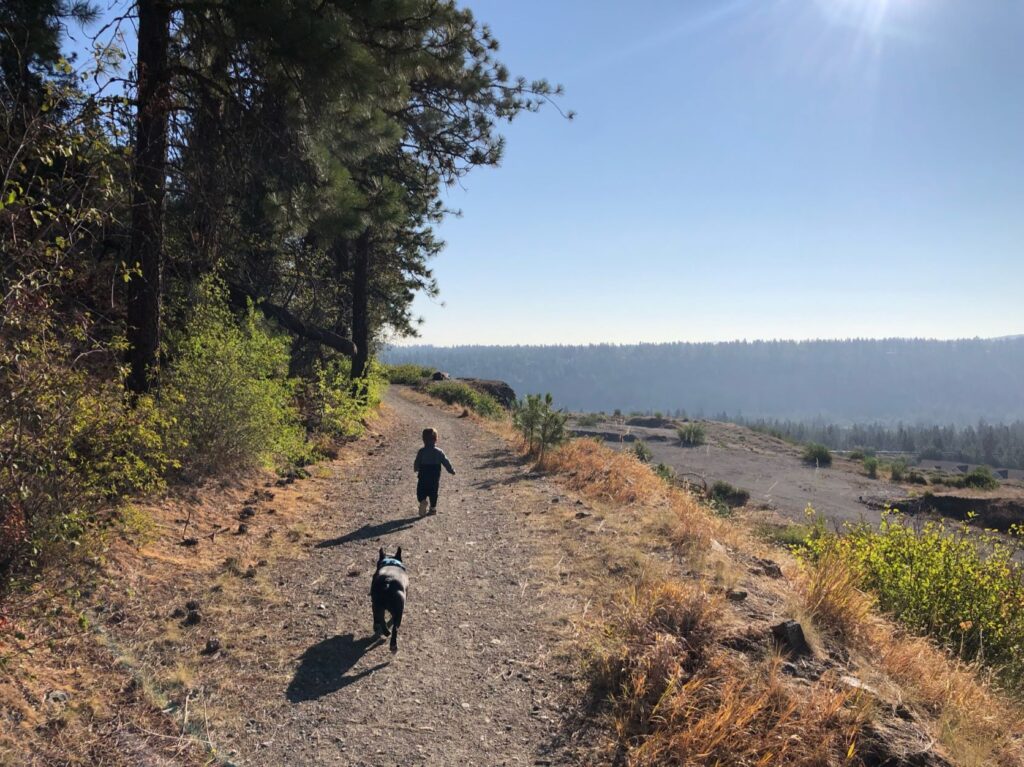 The author's toddler and dog walking on the trail, with trees on side and a downslope on the other.