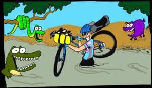 Illustration of a cyclist carrying his mountain bike across a muddyl-colored river while a big-eyed alligator in the water and a green snake curled around a tree branch watch him.