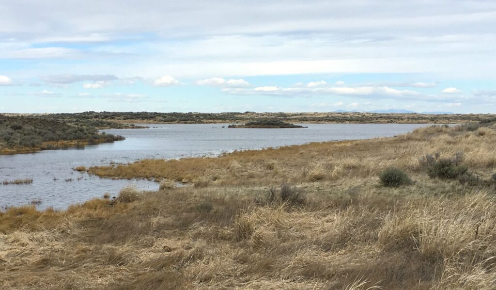 View of Florence Lake with tan wild bunch grass in the foreground and horizon in the distance with partly cloudy blue sky.