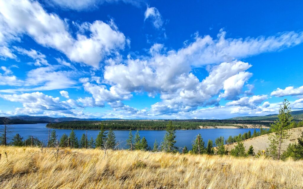Landscape view of Lake Spokane, with puffy clouds in the blue sky, and tall dried grass and evergreen trees between the photographer and lakeshore.