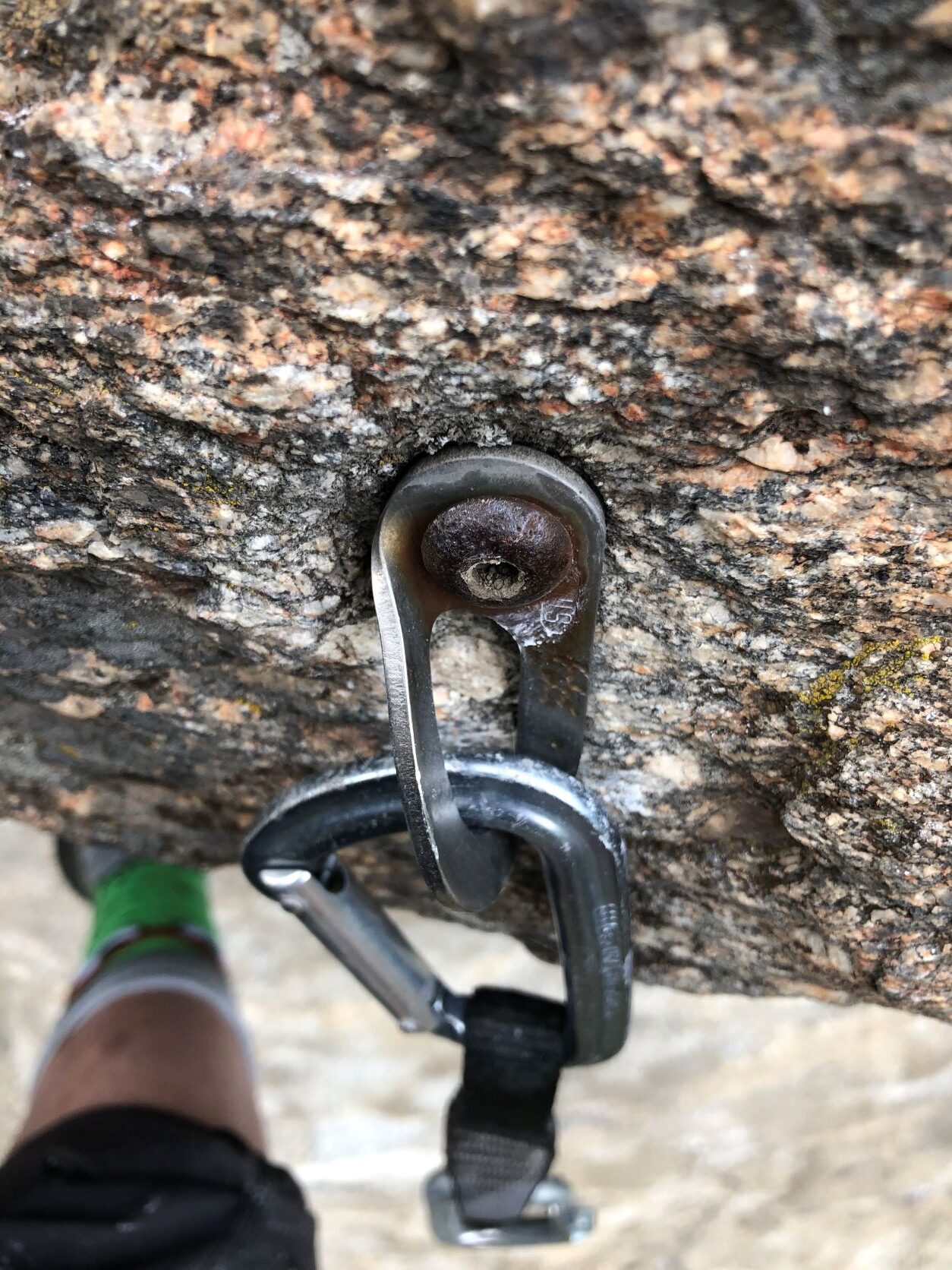 Metal bolt and anchor in a climbing rock with carabiner attached.