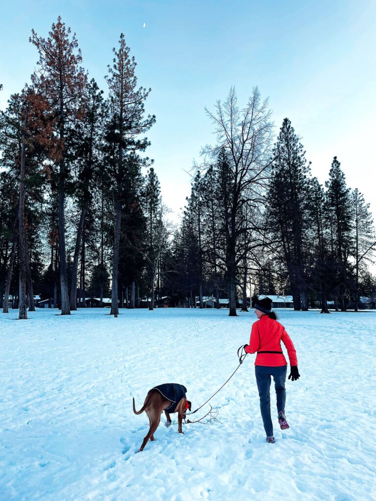 Woman hiking in the snow with her leashed dog, with evergreen trees in the background, blue and sunset-colored sky in the distance and small crescent moon up high.
