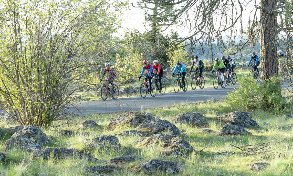 Group of road cyclists riding along a paved trail shaded by trees during the Lilac Century and Family Fun Ride event in Spokane.