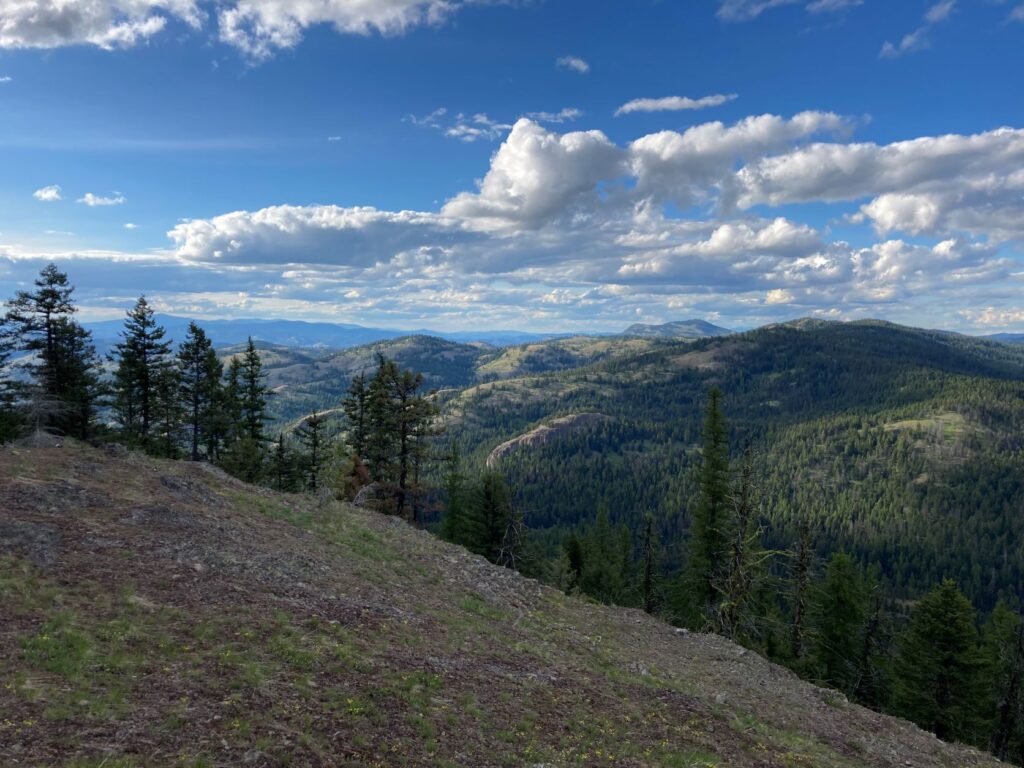 View from the trail, looking northeast, near Maple Mountain.-- subalpine fir trees and bunch grass in the foreground, green and brown rolling hills in the background, blue sky and puffy white clouds.