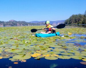 Young boy in a teal-blue kayak paddling his way through surface lily pads at Lake Spokane.