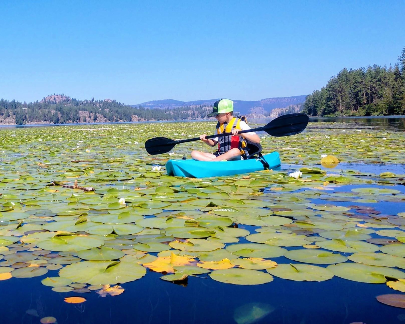 Young boy in a teal-blue kayak paddling his way through surface lily pads at Lake Spokane.