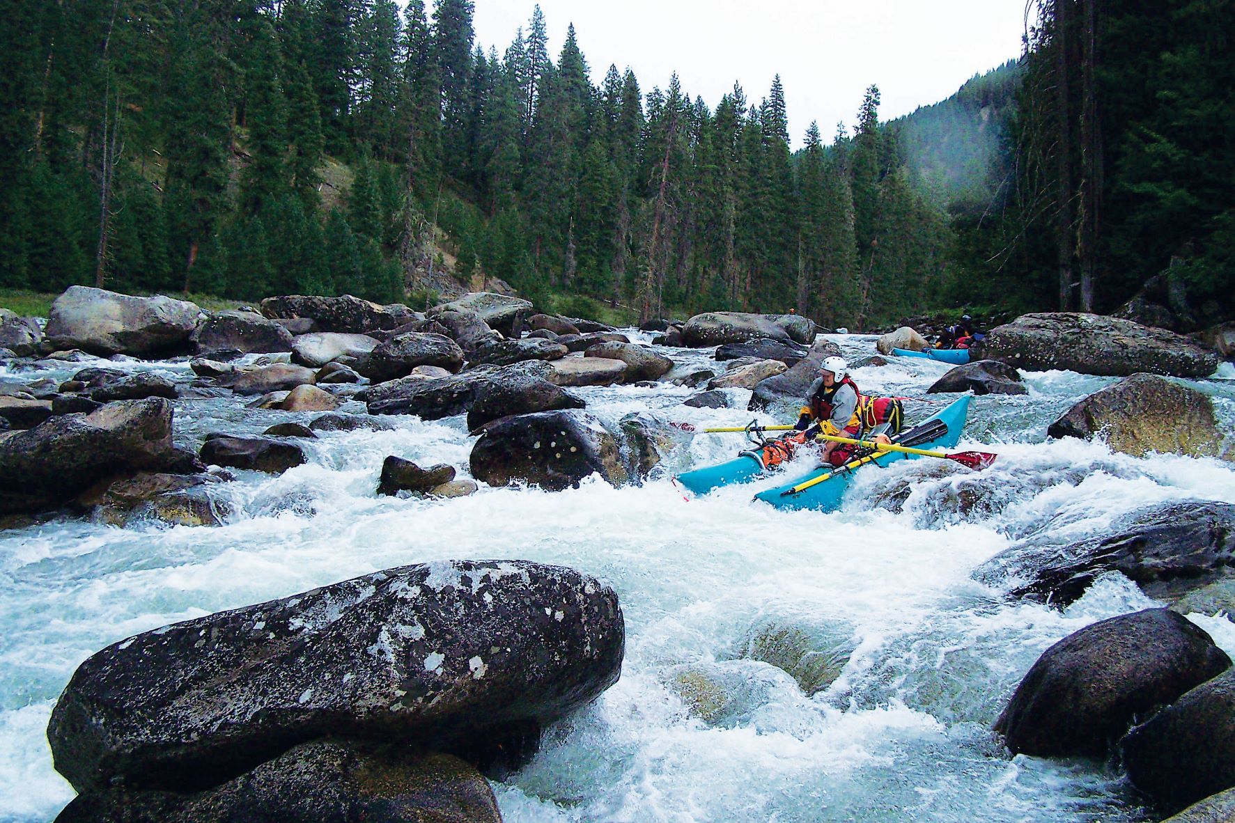 Person rafting through class IV whitewater rapids on the Selway River. Inflatable blue raft, yellow oars, and woman wears a safety helmet and PFD.