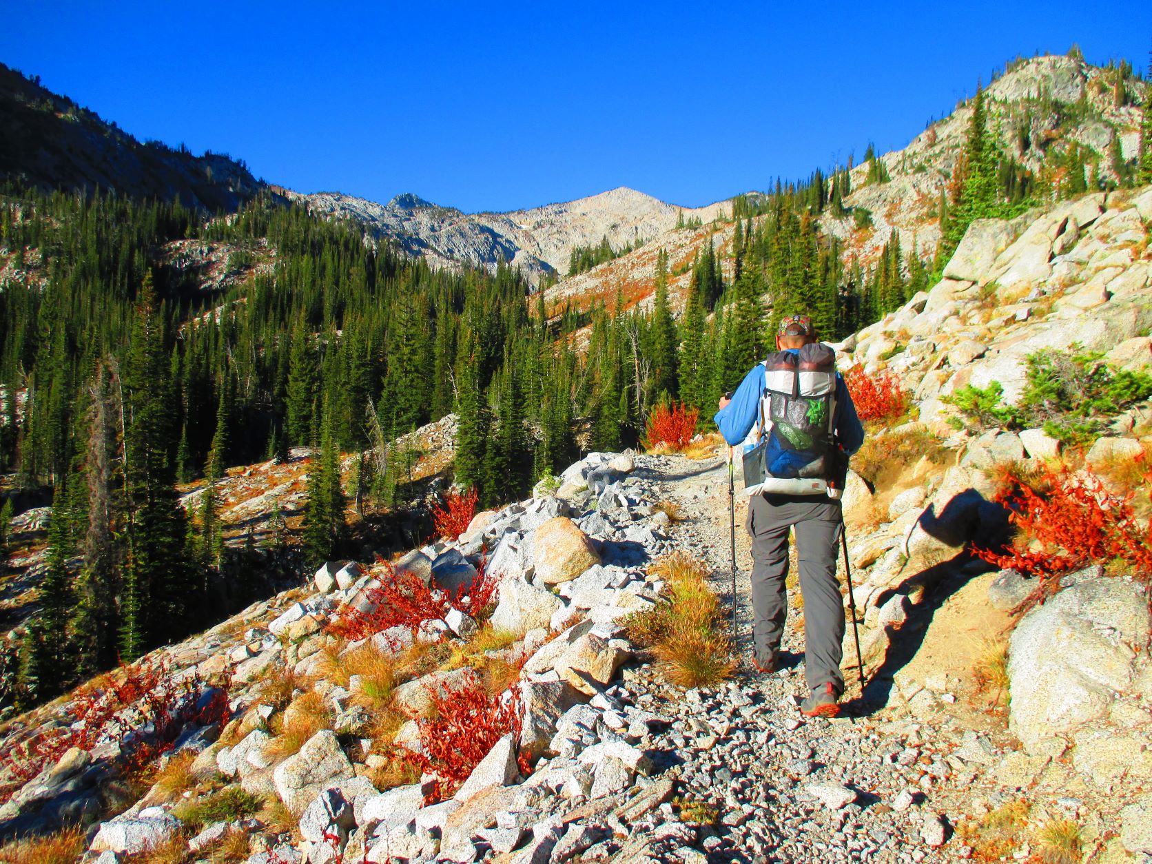 Man hiking with trekking poles, wearing a backpack, along a rocky dirt trail with small red-colored bushes along the sides and mountain ridge in the distance.
