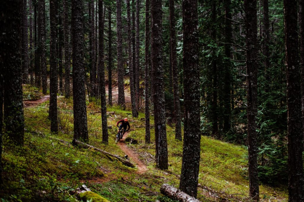 Mountain biker navigating a forested singletrack downhill trail segment in Post Canyon, in Hood River, Oregon.. 