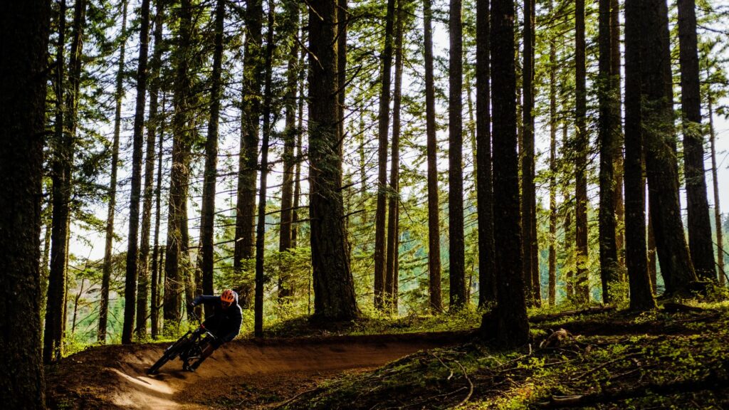 Mountain biker on a dirt berm corner along a forested trail.