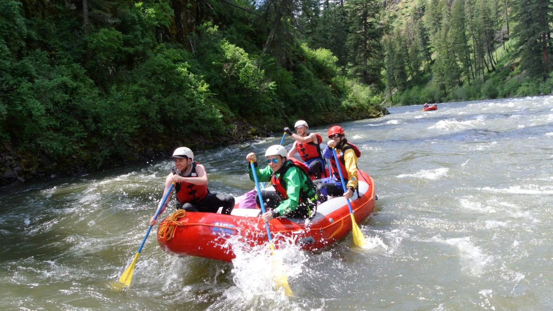 Four college students whitewater rafting on a river.