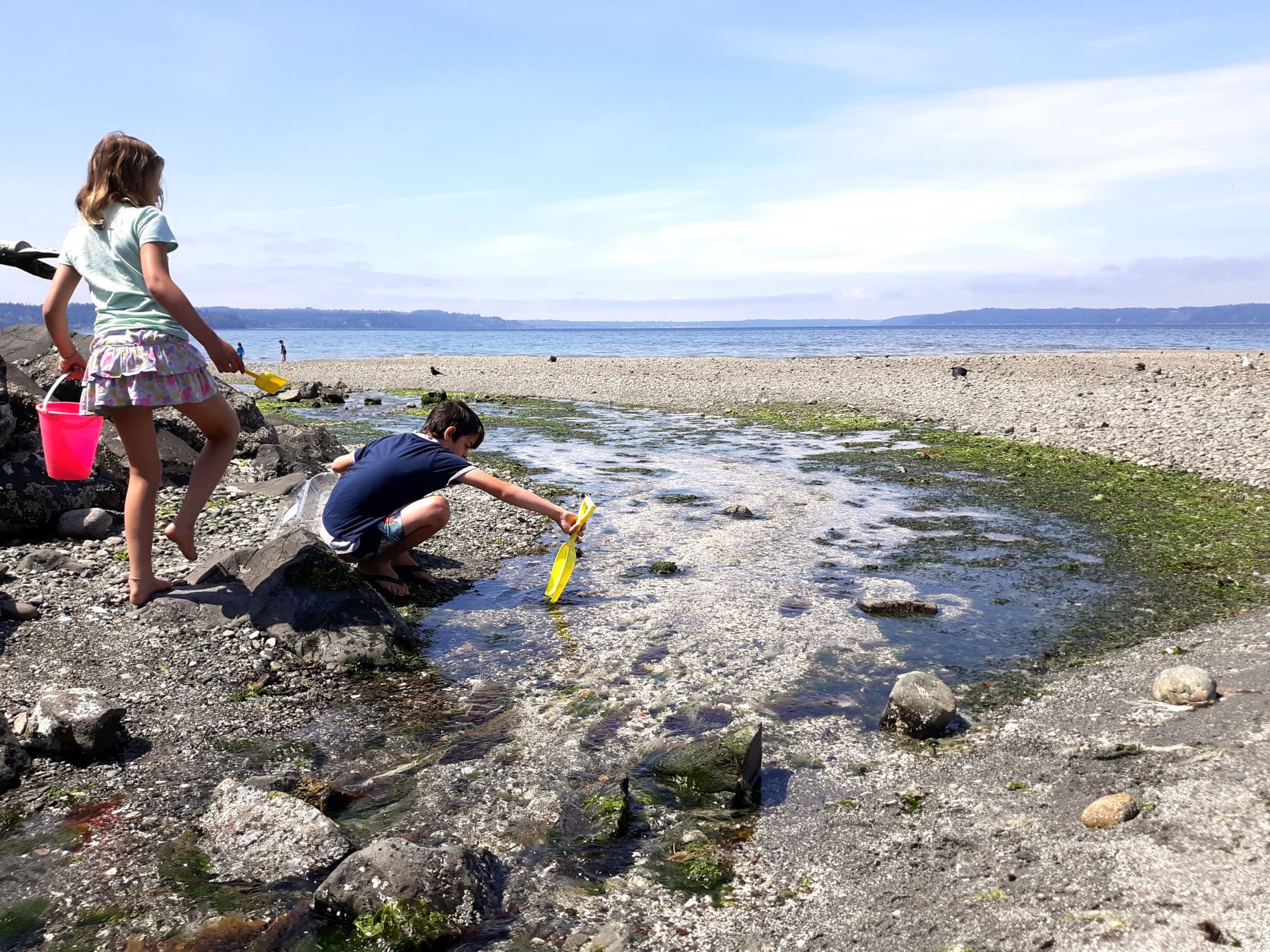 Adventure Travel at state parks: Two children with small plastic buckets and toy shovels exploring a freshwater creek as it flows into the Puget Sound during lowtide at Saltwater State Park in Des Moines, Washington.