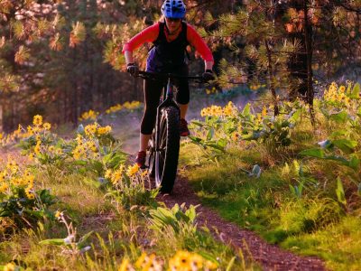 High Drive Bluff Trails__Aaron Theisen__resize_2 Person fat-biking on a forest trail.